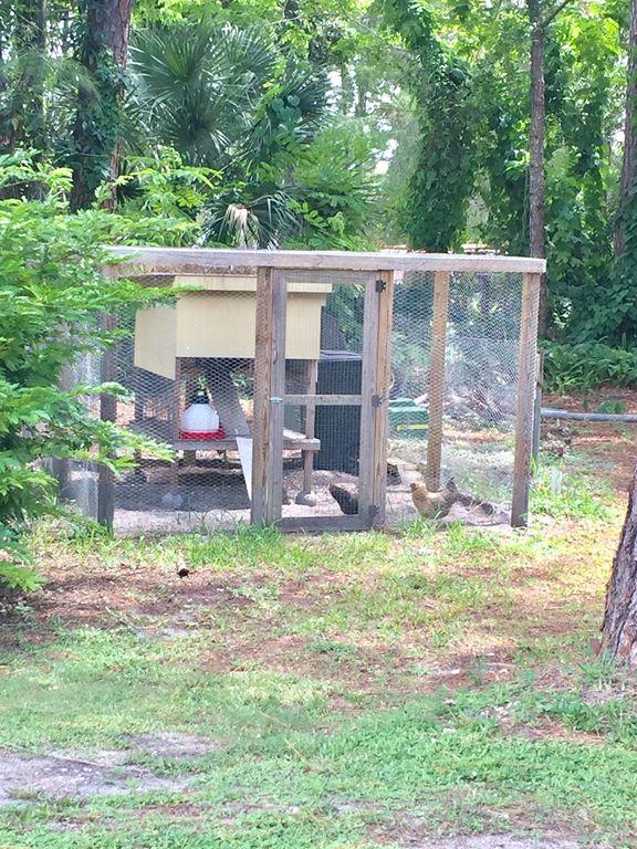 13047 42nd Road North Royal Palm Beach, FL 33411 - Photo 34 of 34 42ndRdNChickenCoup