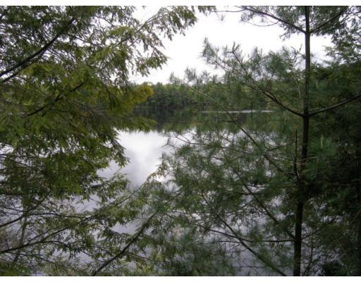 26 Perry Road Athol, MA 01331 - Photo 10 of 10 a view of a lake from a forest