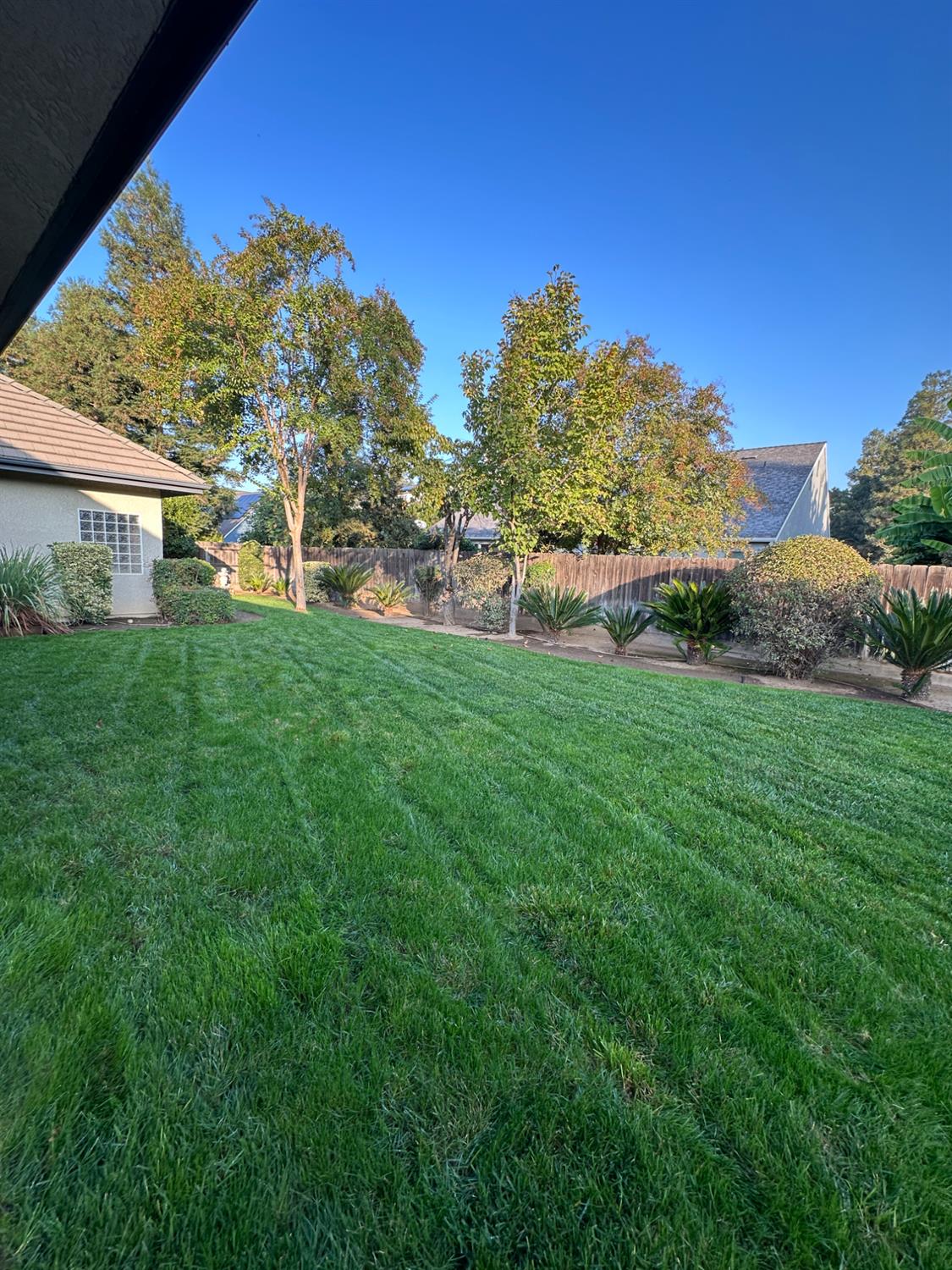 535 West Decatur Avenue Clovis, CA 93611 - Photo 50 of 51 a view of a house with a backyard