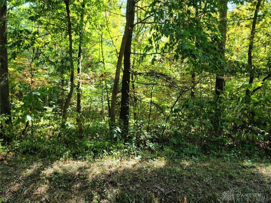 0 Apple Grove-Dorcas Road Racine, OH 45771 - Photo 3 of 5