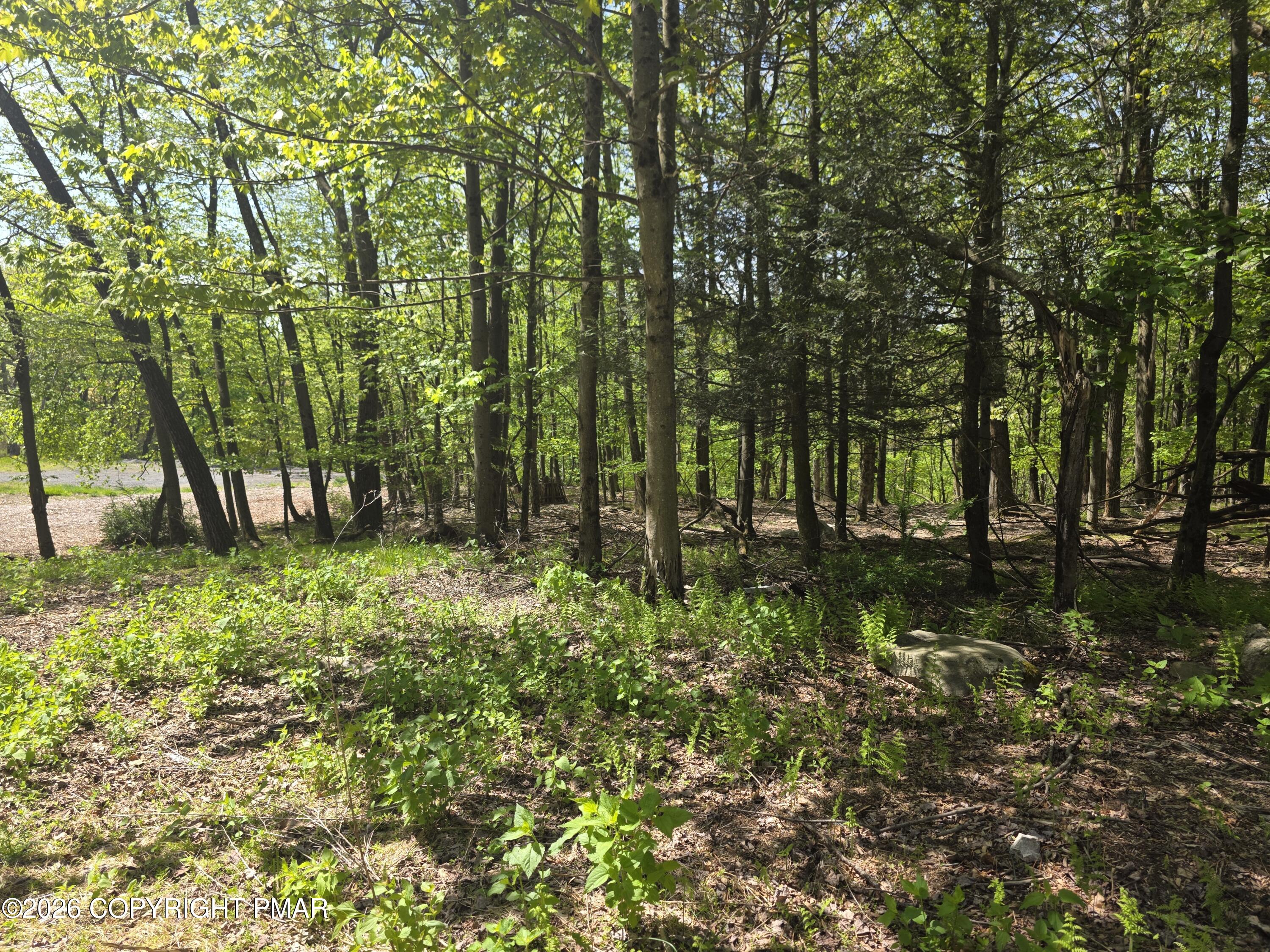 17 Laurel Lane Mount Pocono, PA 18344 - Photo 9 of 13 20260517_104829