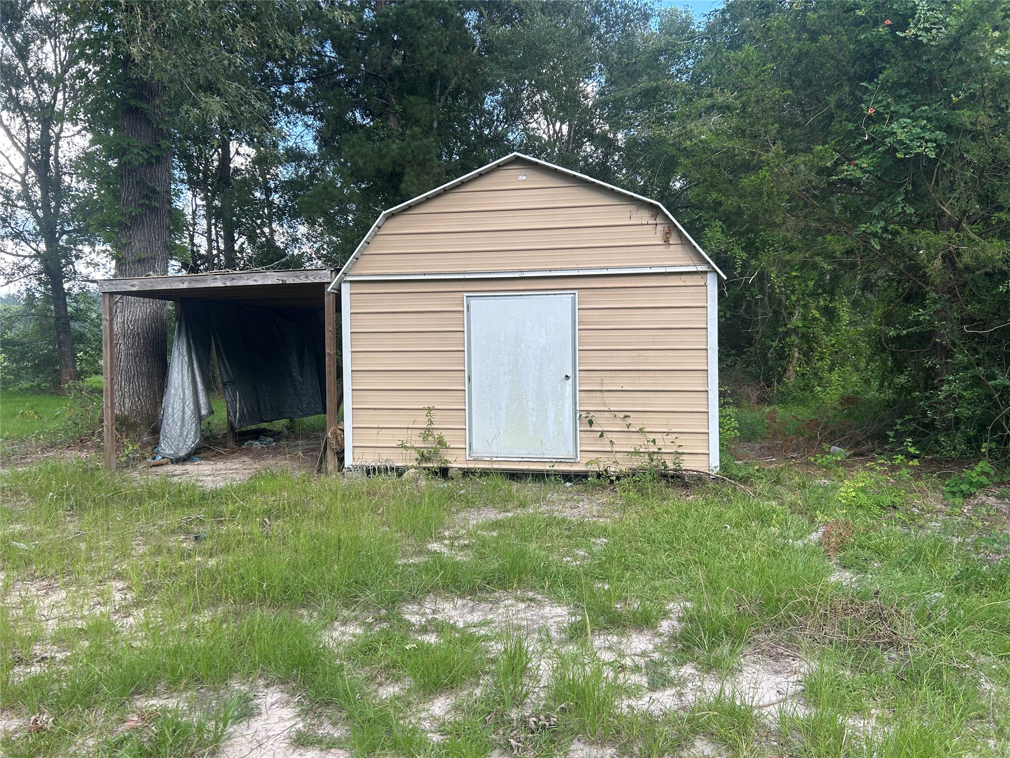 164 Parker Road Corrigan, TX 75939 - Photo 14 of 34 a view of a house with backyard