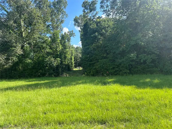 a view of swimming pool from a yard