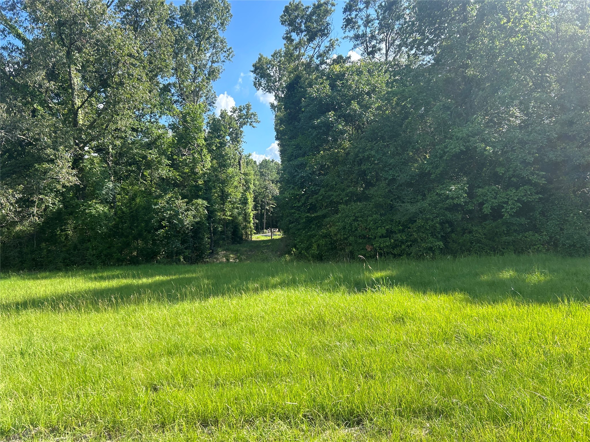 164 Parker Road Corrigan, TX 75939 - Photo 15 of 34