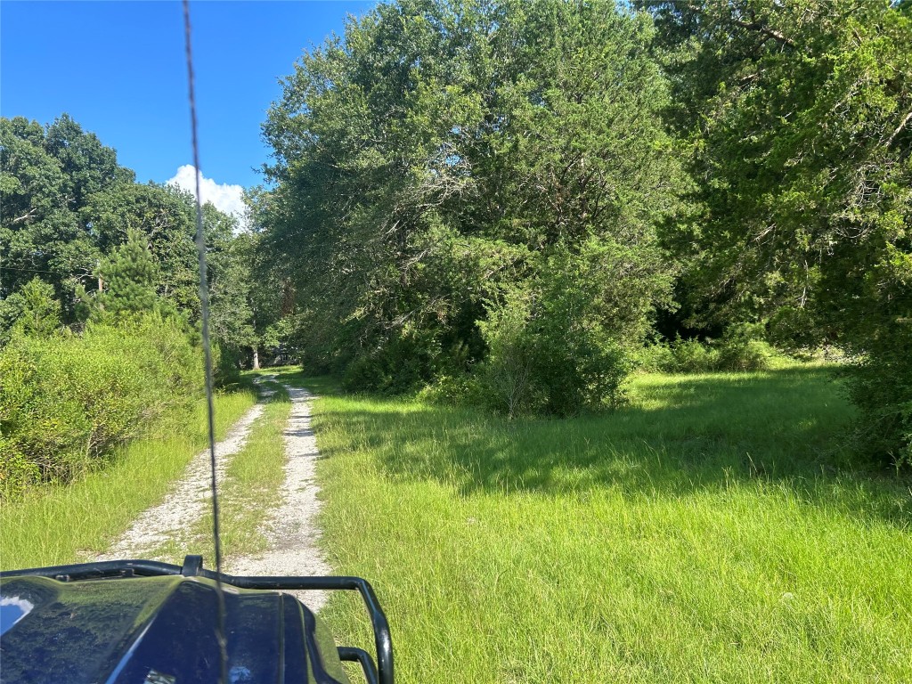 164 Parker Road Corrigan, TX 75939 - Photo 16 of 34 a view of a yard