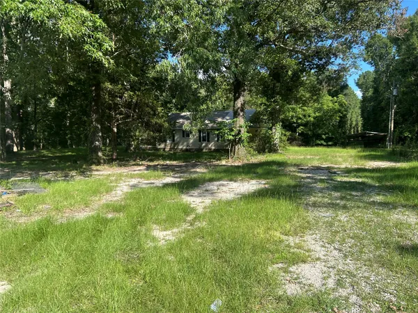 a view of a backyard with large trees