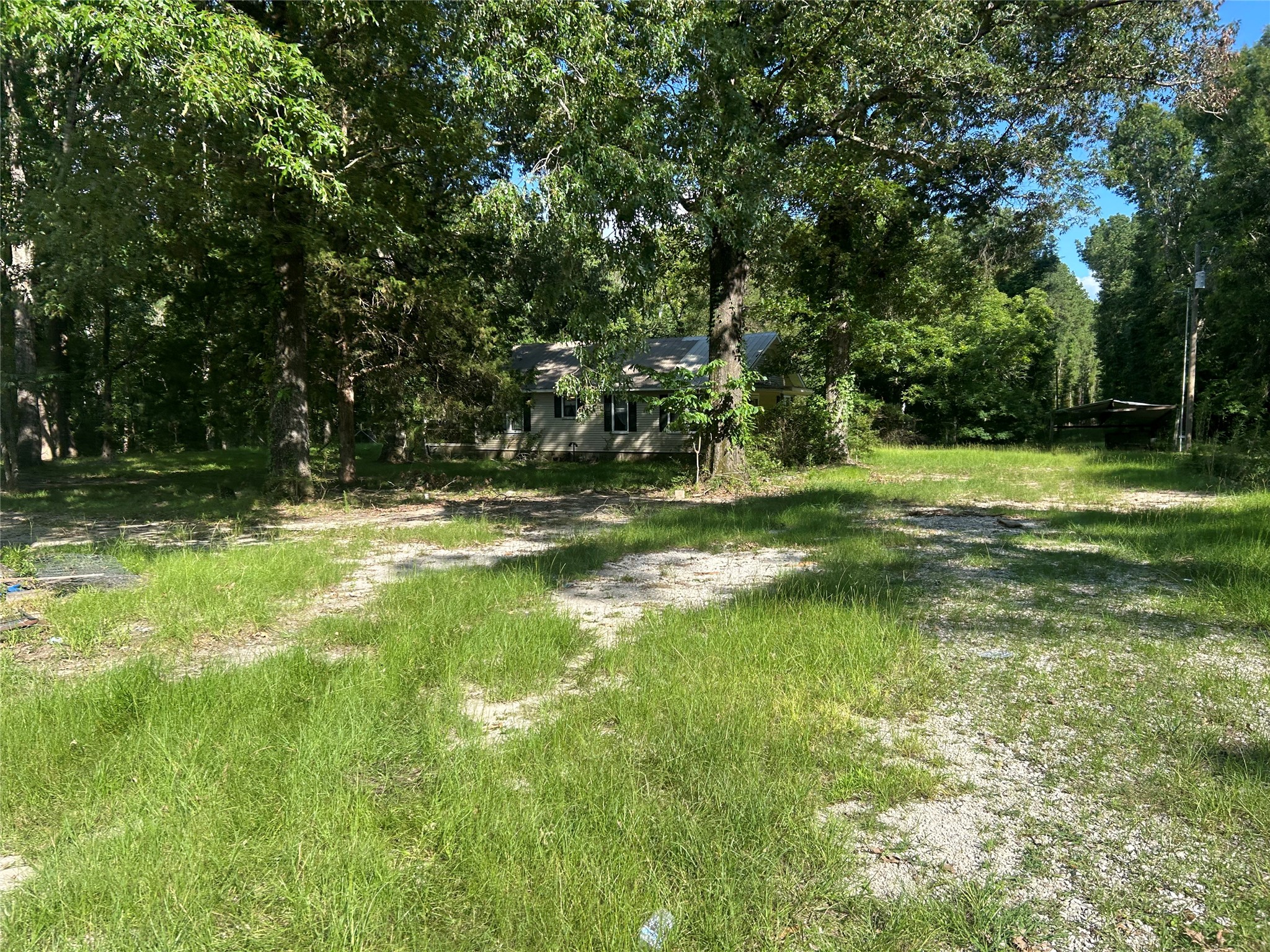164 Parker Road Corrigan, TX 75939 - Photo 19 of 34 a view of a golf course with a lake