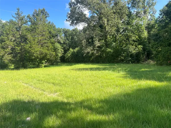 a view of a lake view with a garden