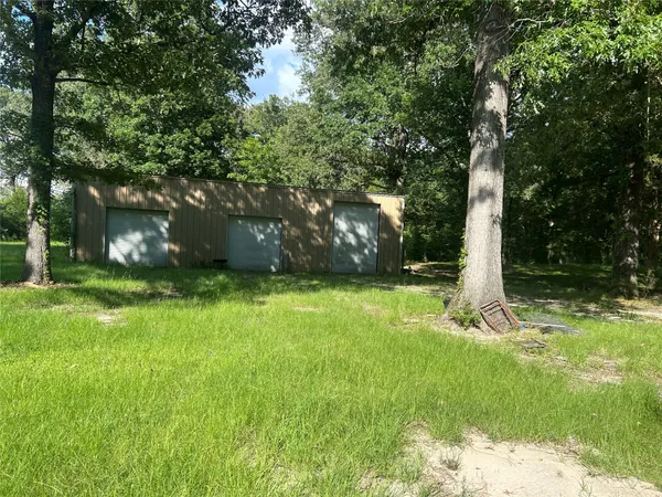 a backyard with potted plants and a large tree