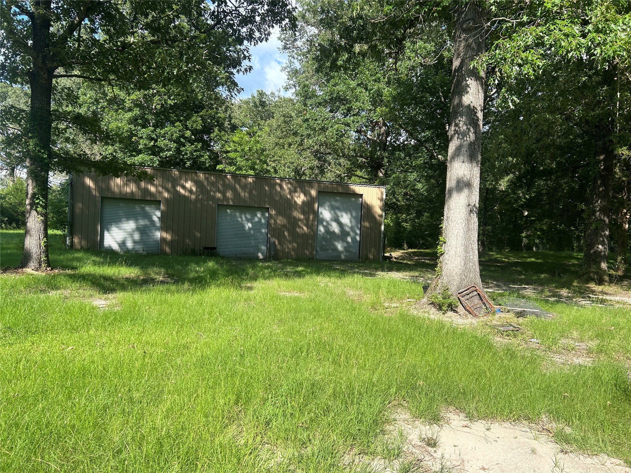 164 Parker Road Corrigan, TX 75939 - Photo 21 of 34 a view of a backyard with large trees
