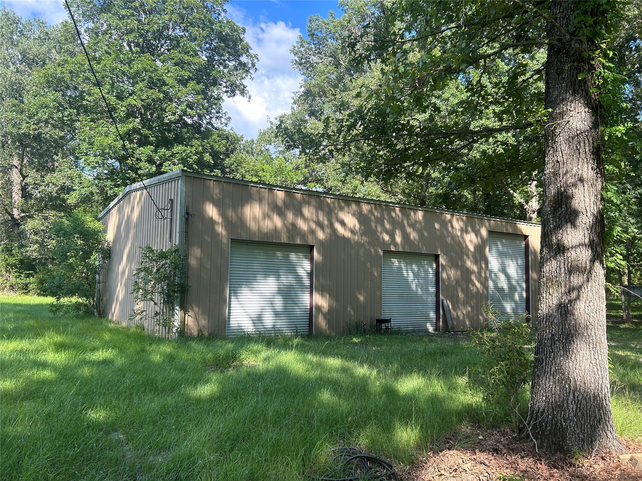 164 Parker Road Corrigan, TX 75939 - Photo 22 of 34 a backyard with potted plants and a large tree
