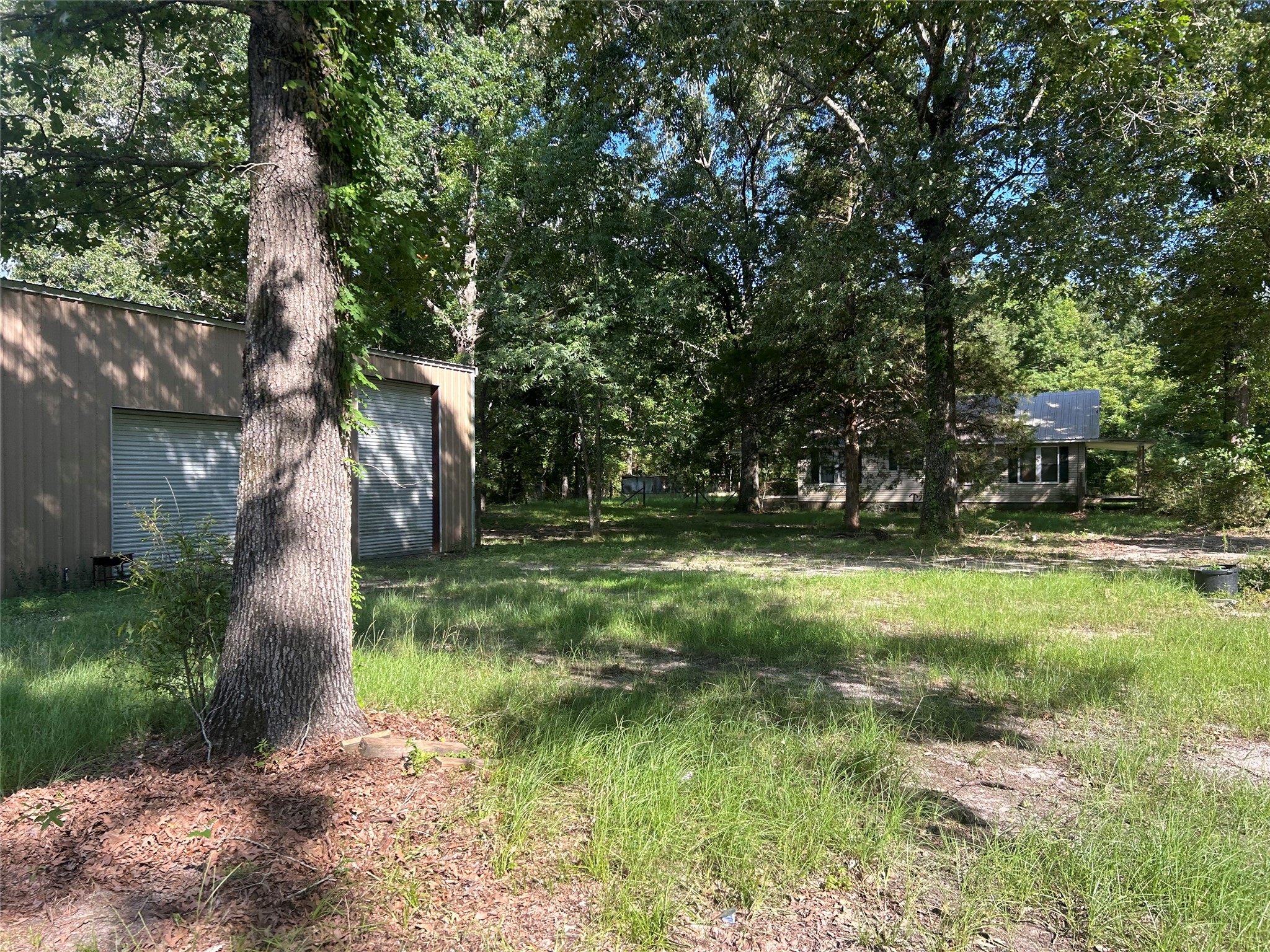 164 Parker Road Corrigan, TX 75939 - Photo 23 of 34 a view of outdoor space