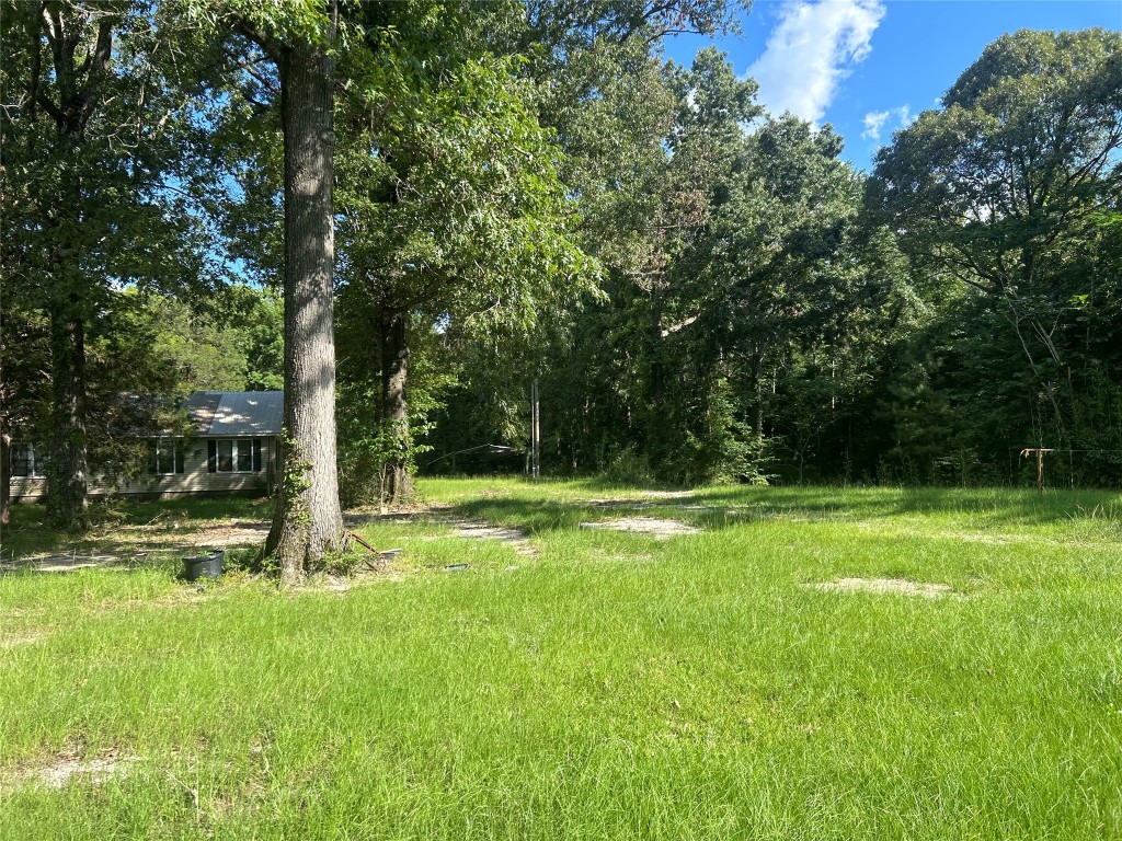 164 Parker Road Corrigan, TX 75939 - Photo 24 of 34 a view of a backyard with large trees