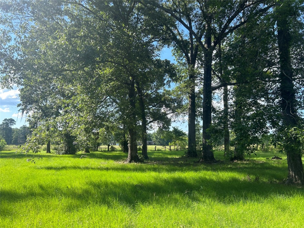 164 Parker Road Corrigan, TX 75939 - Photo 25 of 34 a view of green field with trees in the background