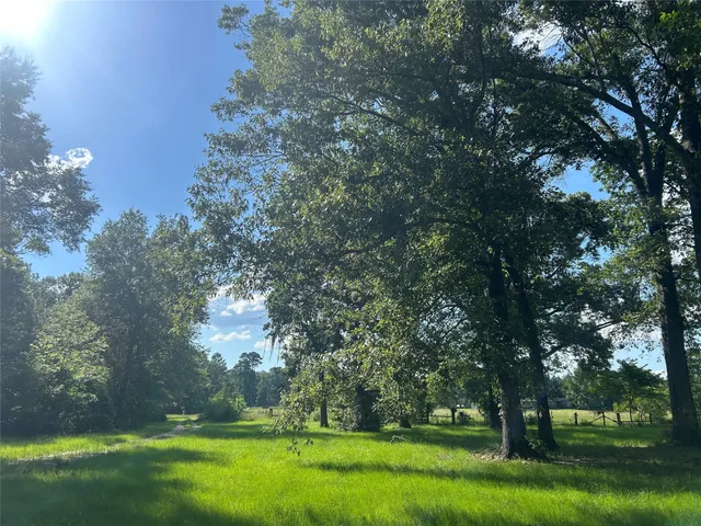 $375,000 | 164 Parker Road, Corrigan, TX 75939