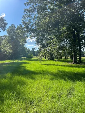 a big yard with lots of green space and trees in the background