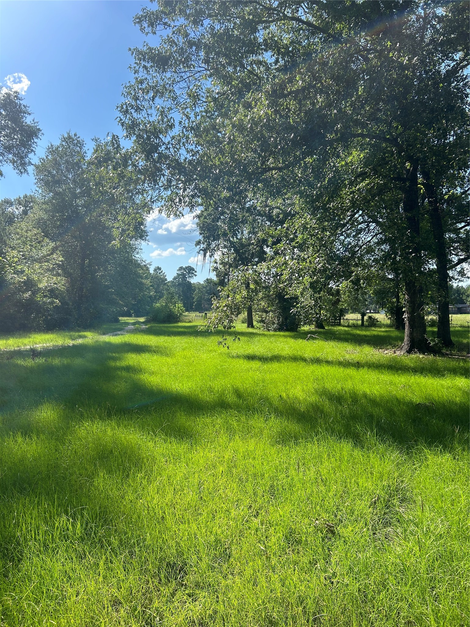 164 Parker Road Corrigan, TX 75939 - Photo 27 of 34 a view of a volley ball court