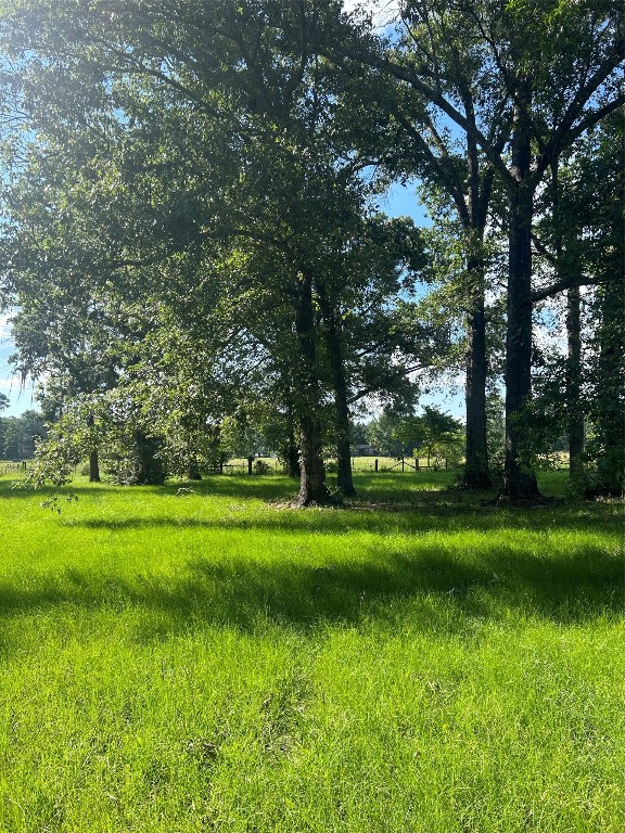 164 Parker Road Corrigan, TX 75939 - Photo 28 of 34 a big yard with lots of green space and trees in the background