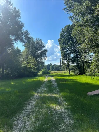 a view of a trees with a yard