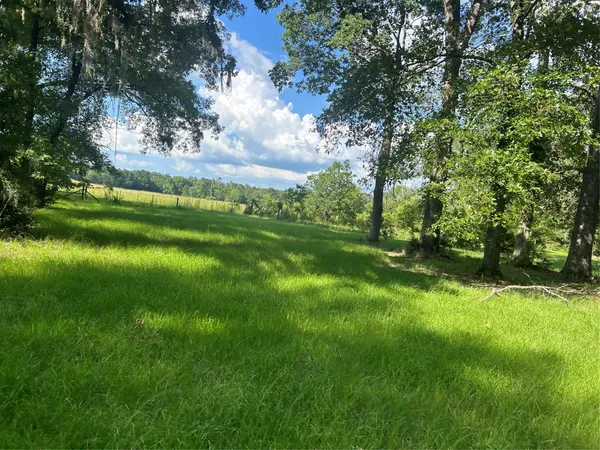 a view of outdoor space with deck and green space