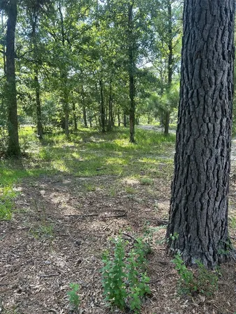 $340,000 | 164 Parker Road, Corrigan, TX 75939