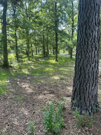 $375,000 | 164 Parker Road, Corrigan, TX 75939