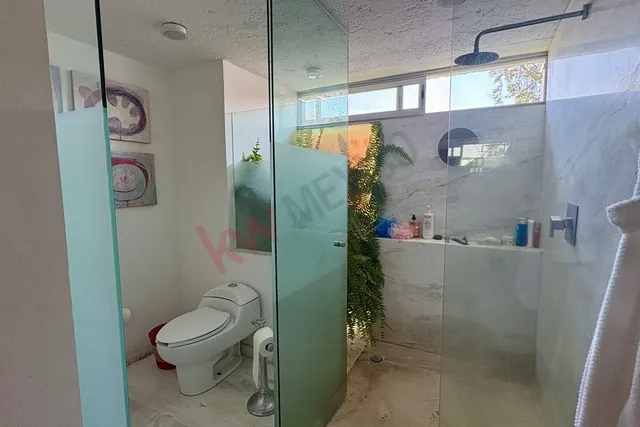 a bathroom with a toilet and a shower