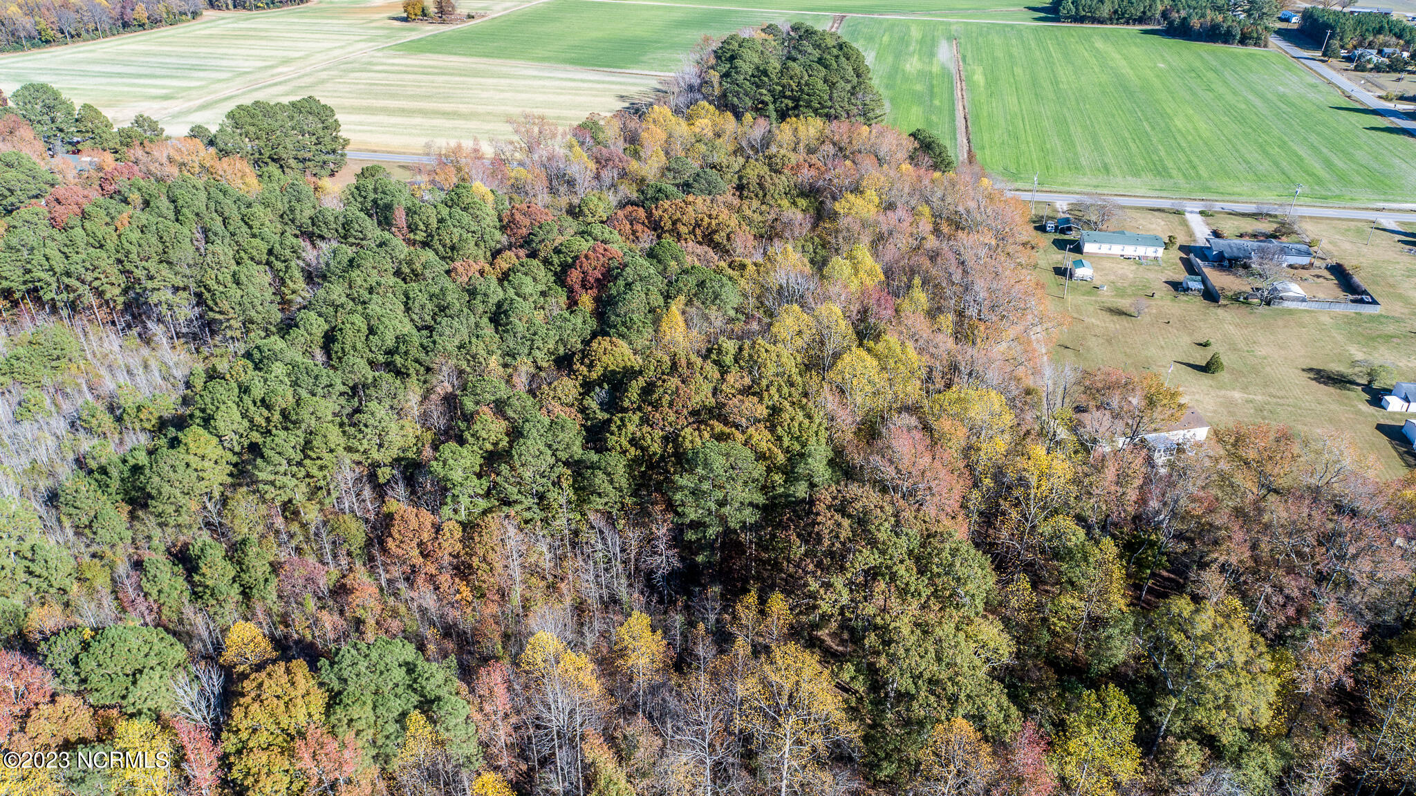 6033 Homestead Road Elm City, NC 27822 - Photo 11 of 20 6033-Back