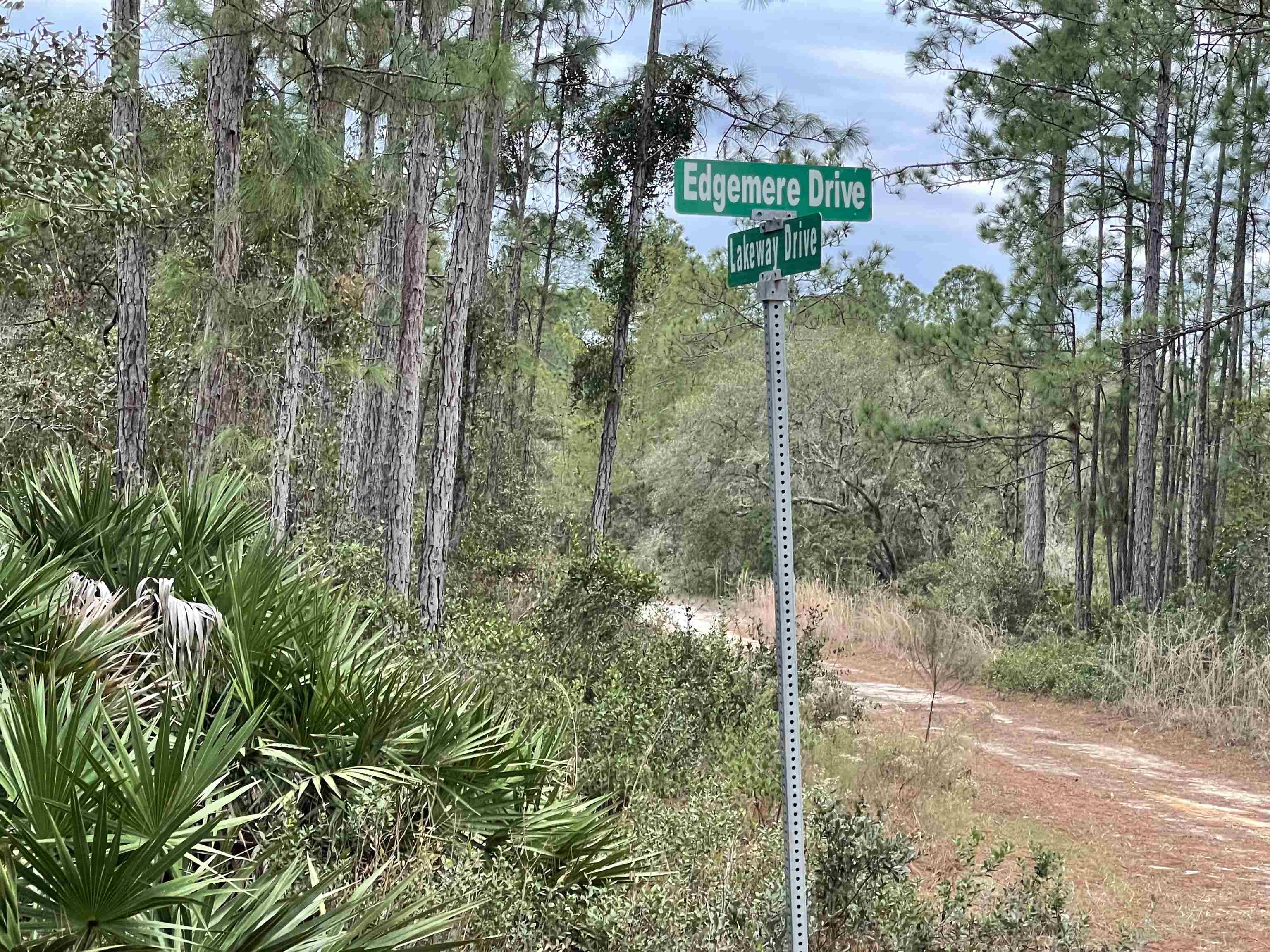 131 Edgemere Drive Georgetown, FL 32139 - Photo 3 of 4