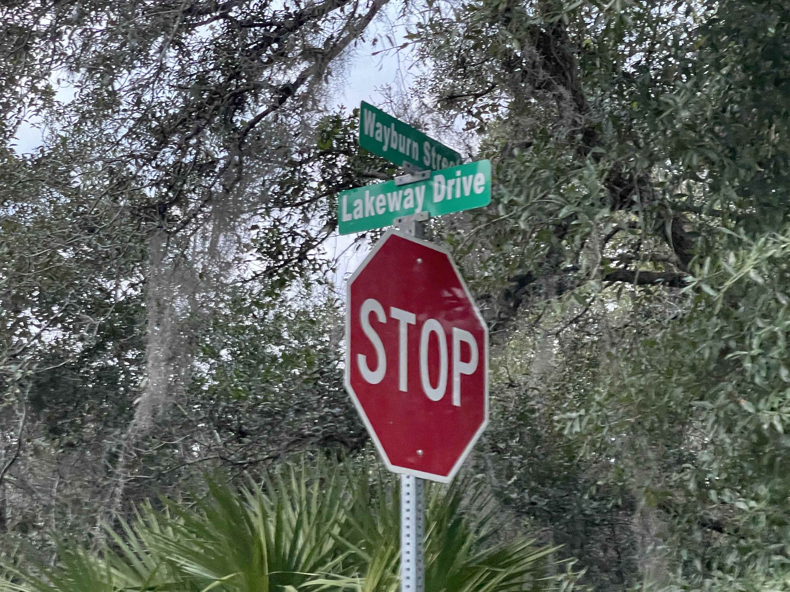 131 Edgemere Drive Georgetown, FL 32139 - Photo 4 of 4 a sign that is on a pole