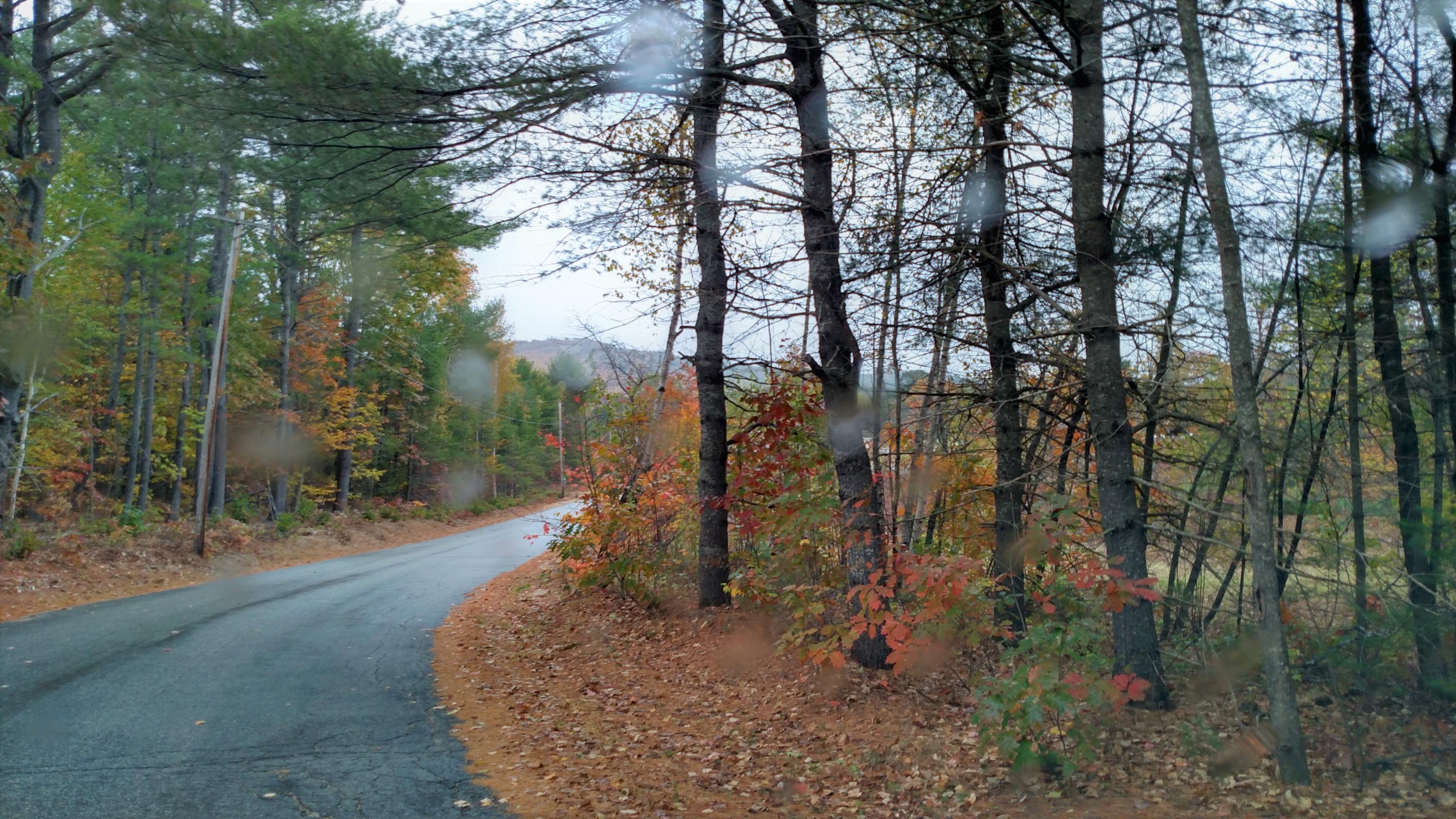 0 Golden Ridge Road Canton, ME 04221 - Photo 5 of 8 Golden Ridge Rd 5