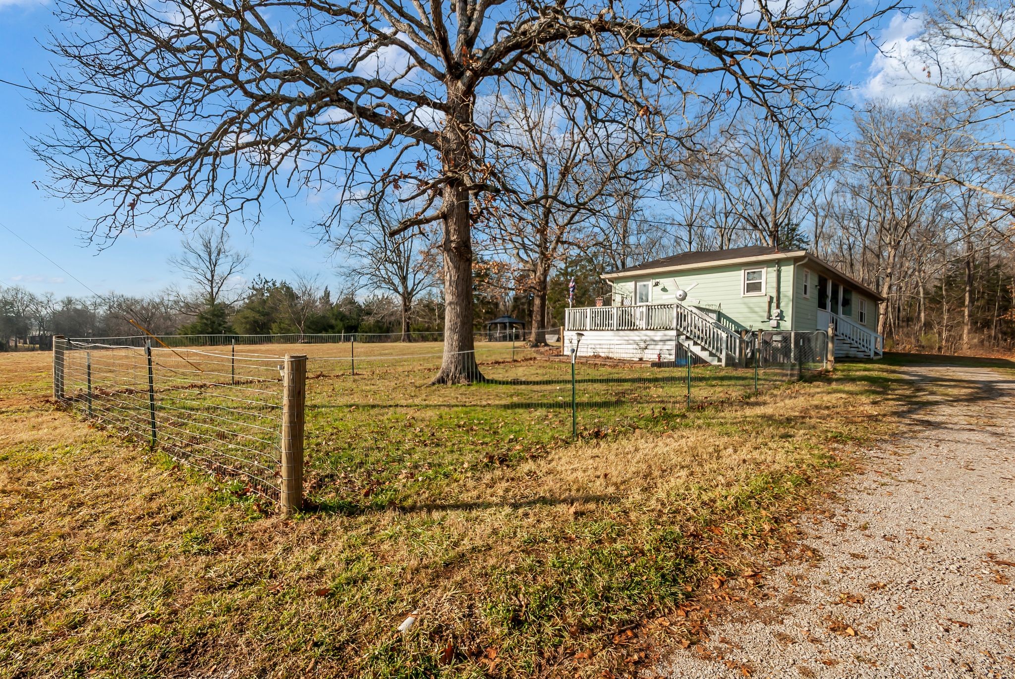 1005 Boyd Street Belfast, TN 37019 - Photo 20 of 24 a view of a yard with large trees
