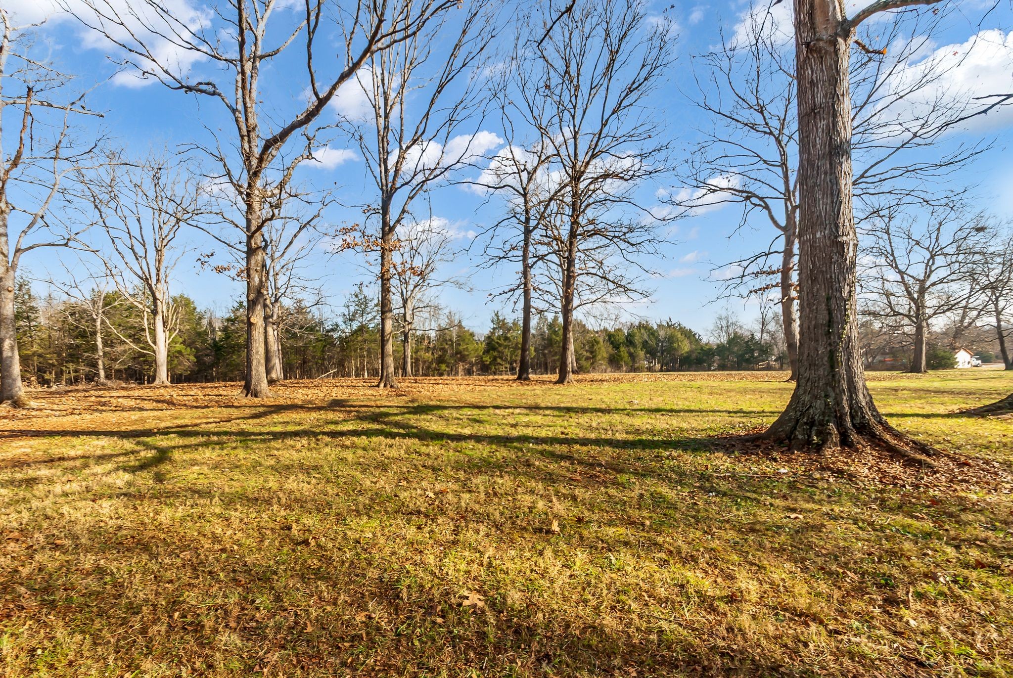 1005 Boyd Street Belfast, TN 37019 - Photo 21 of 24 a view of a swimming pool with an outdoor space