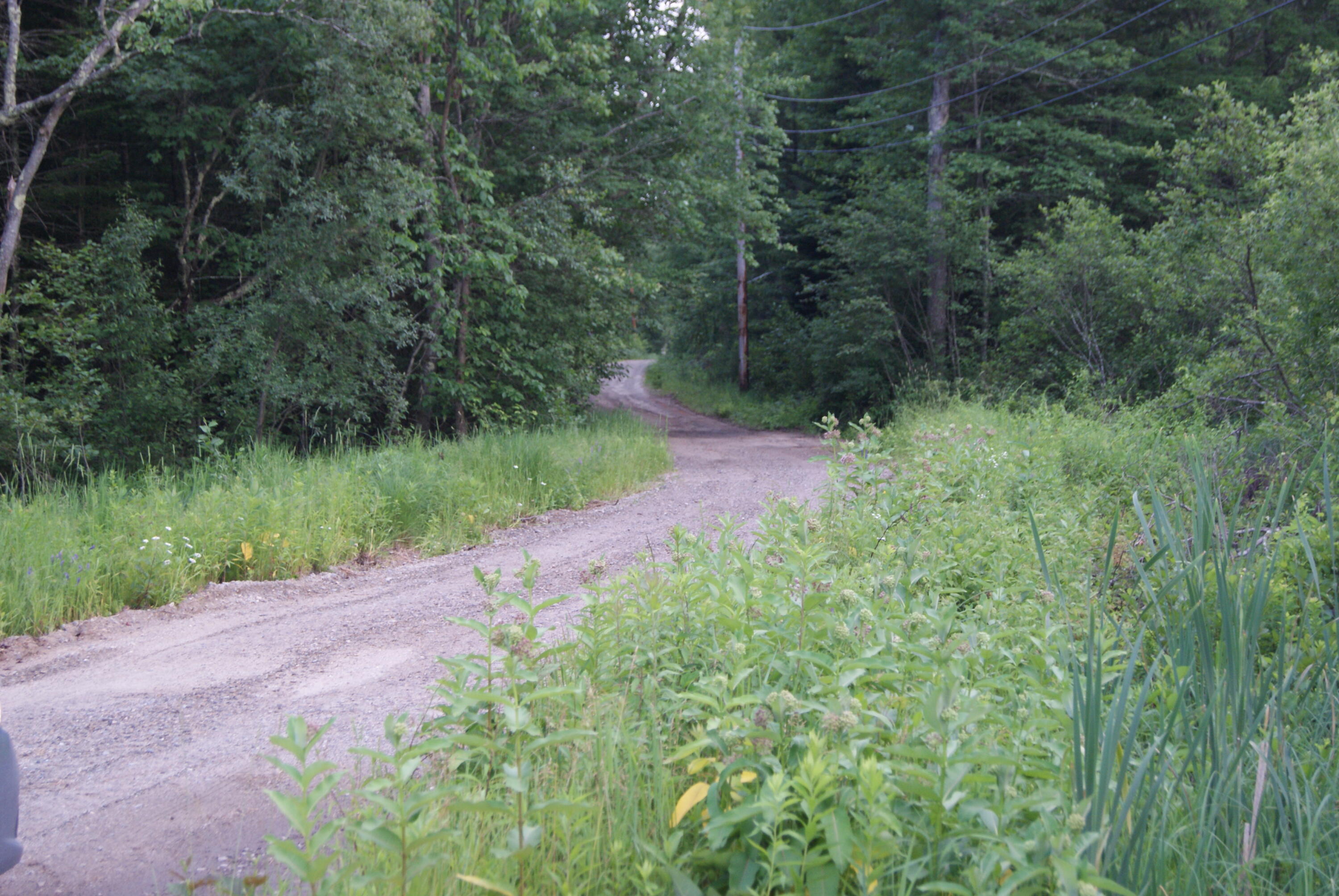 186 Line Road Gorham, ME 04038 - Photo 2 of 52 DSC00495