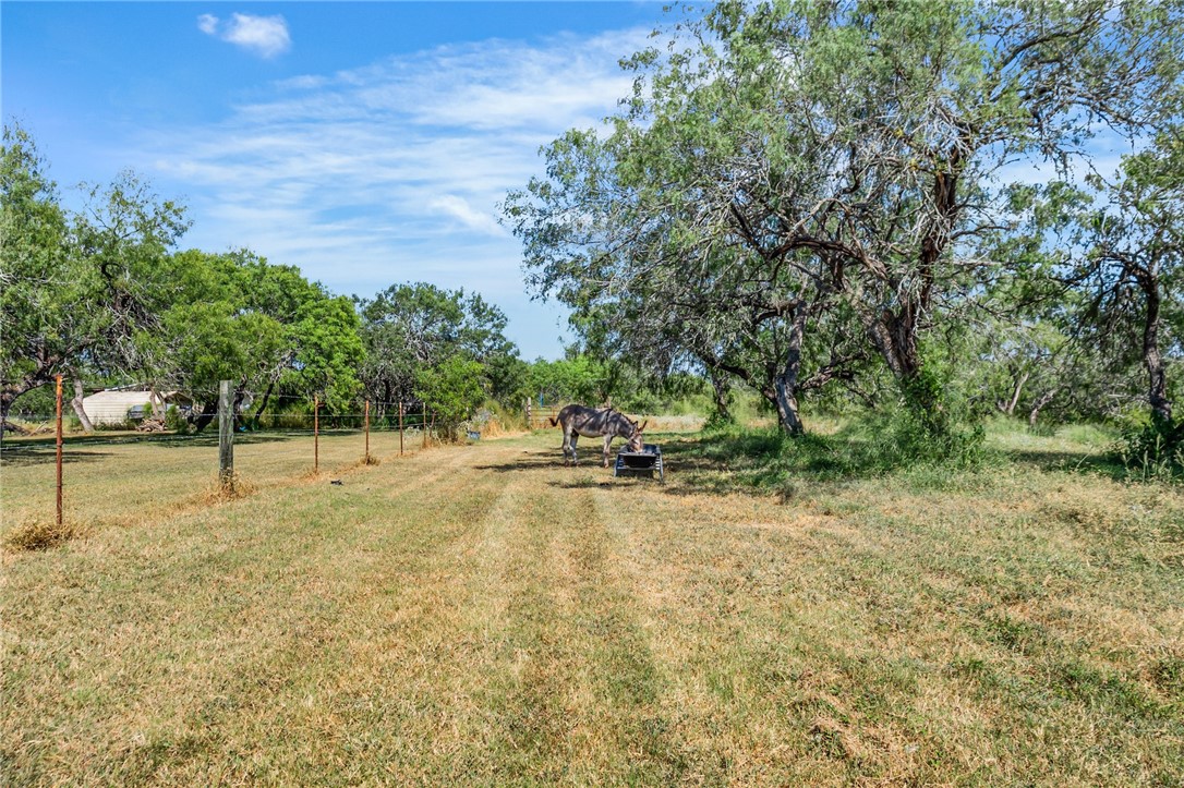 23107 County Road 1092 Mathis, TX 78368 - Photo 33 of 40 Gallery Image 33