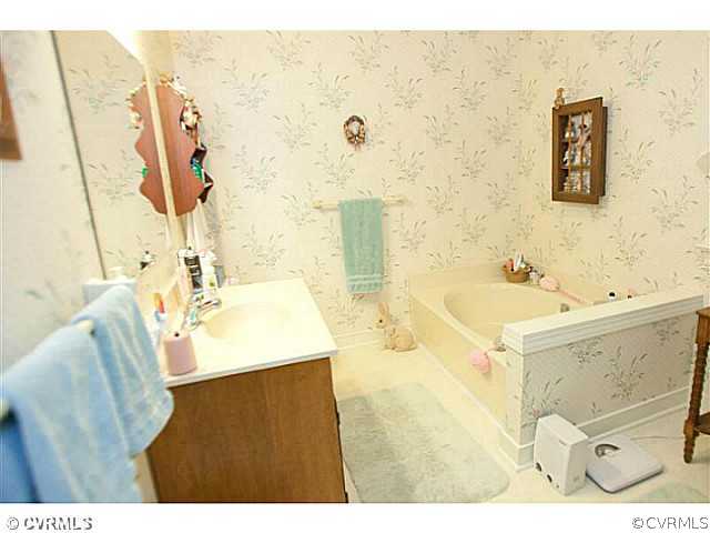 16207 Cox Road Church Road, VA 23833 - Photo 18 of 24 Master Bath/Spa