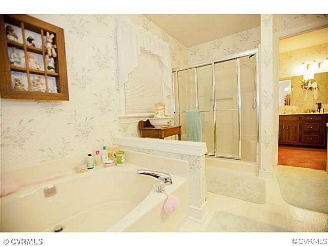 16207 Cox Road Church Road, VA 23833 - Photo 19 of 24 Master Bath/Spa