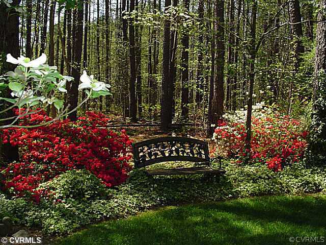 16207 Cox Road Church Road, VA 23833 - Photo 2 of 24 Yard/Garden