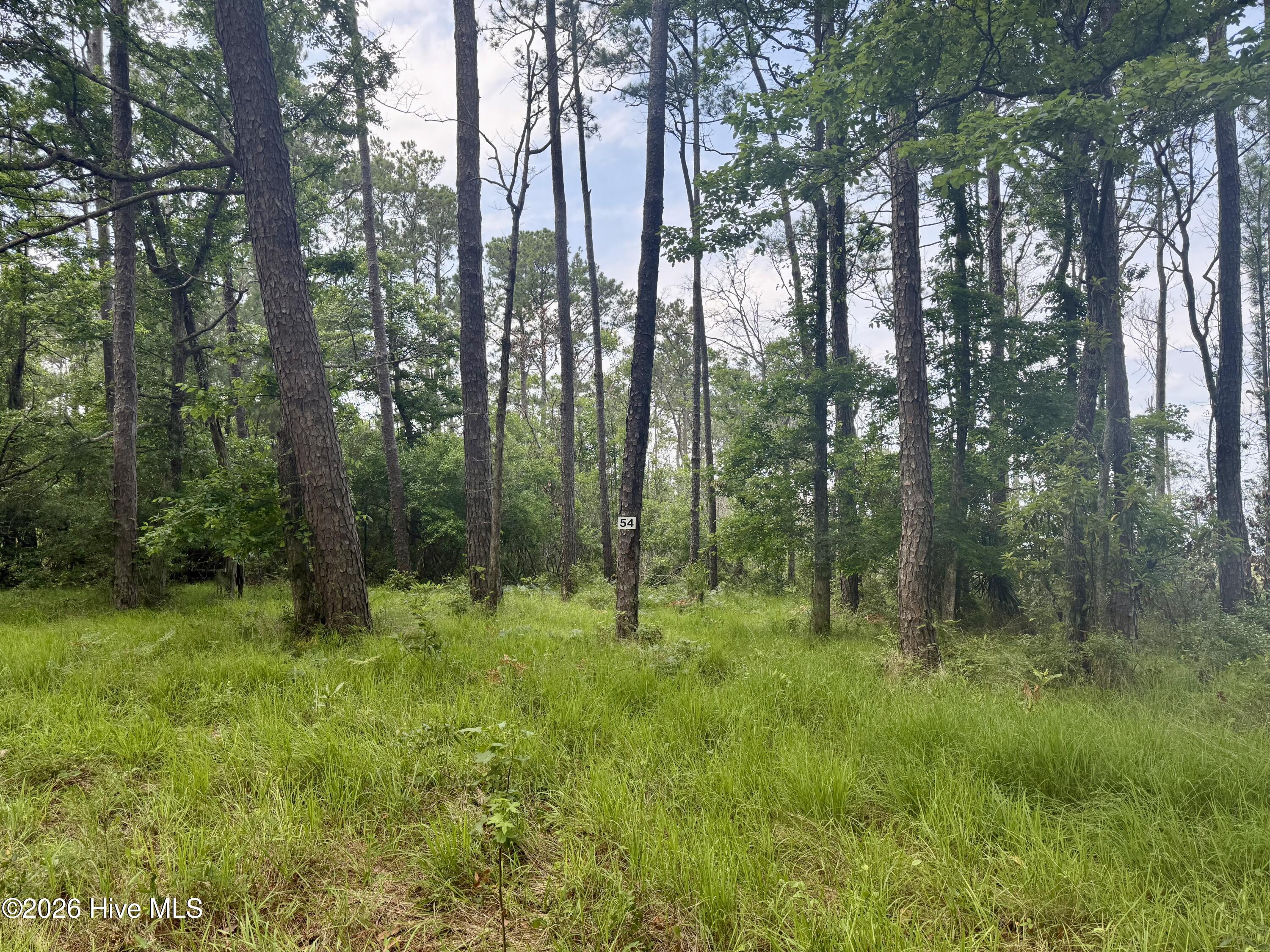 558 Sandy Point Drive Beaufort, NC 28516 - Photo 9 of 23