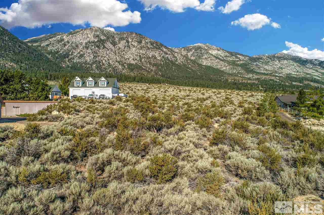 768 Foothill Road Gardnerville, NV 89460 - Photo 1 of 9 a view of a houses with a yard