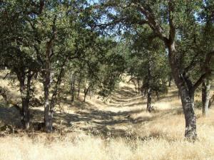 Oak Run Road Oak Run, CA 96069 - Photo 12 of 12 20201203191321162032000000