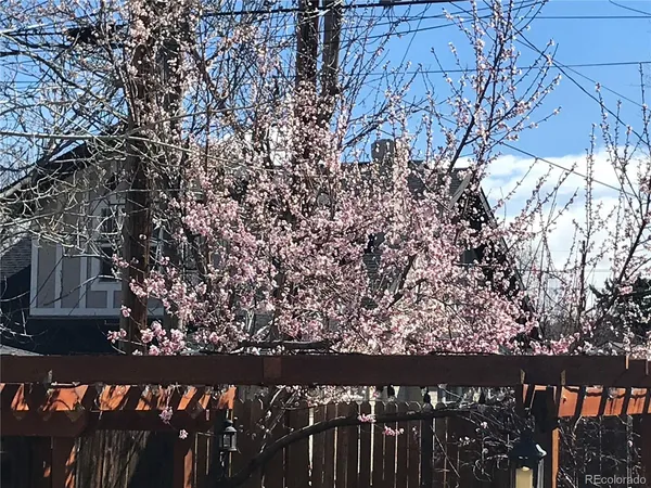 $1,995,000 | 1058 Garfield Street, Denver, CO 80206
