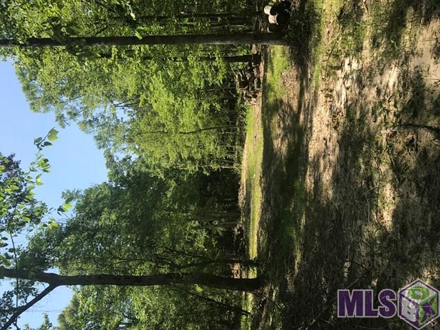 2000 County Line Road Crystal Springs, MS 39059 - Photo 4 of 4 Gallery Image 4