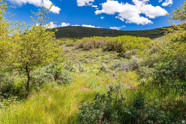 6325 North Elk Ridge, Unit 5 Peoa, UT 84061 - Photo 4 of 20