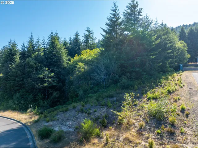 a view of a garden with plants