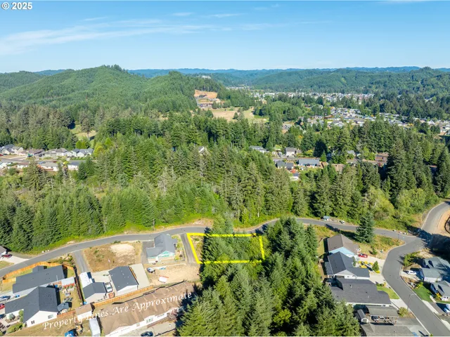 a view of a yard with plants