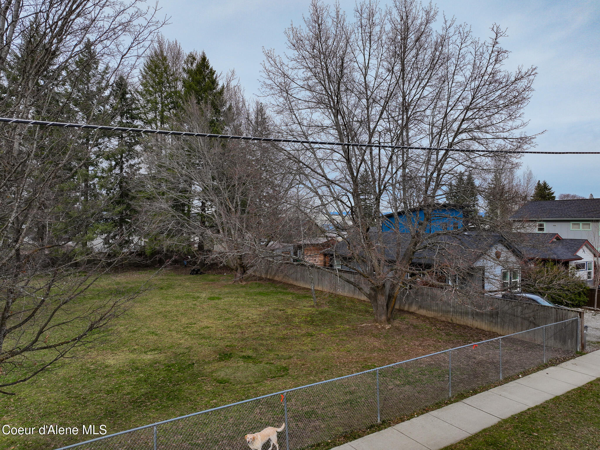 1224 Spruce Street Sandpoint, ID 83864 - Photo 16 of 16 DJI_0093