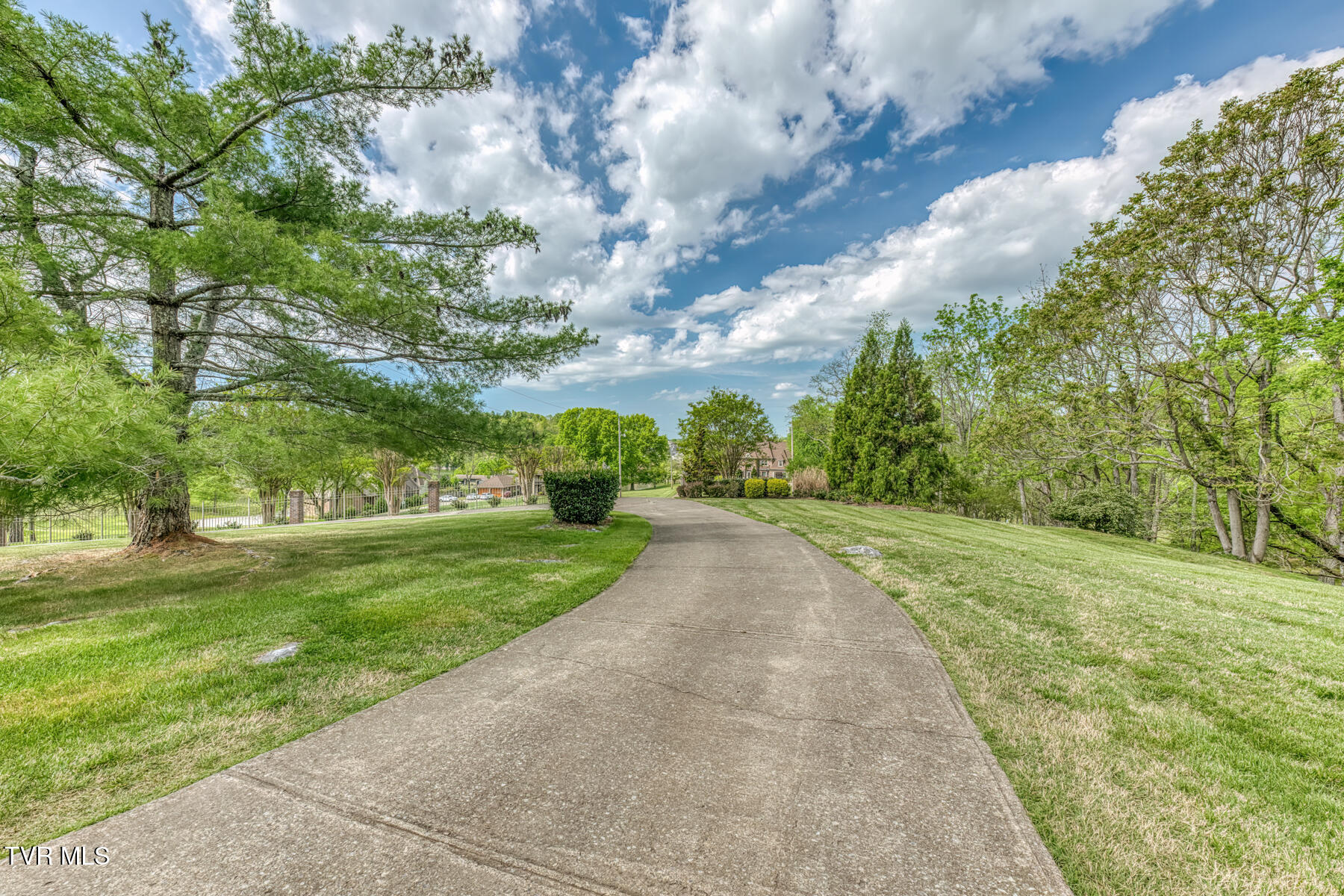 255 Willmary Road Piney Flats, TN 37686 - Photo 111 of 161 255 Willmary Rd-196