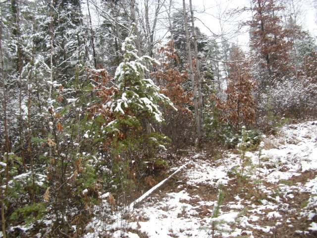 7-8 Lee Road Tomahawk, WI 54487 - Photo 7 of 9 Gallery Image 7