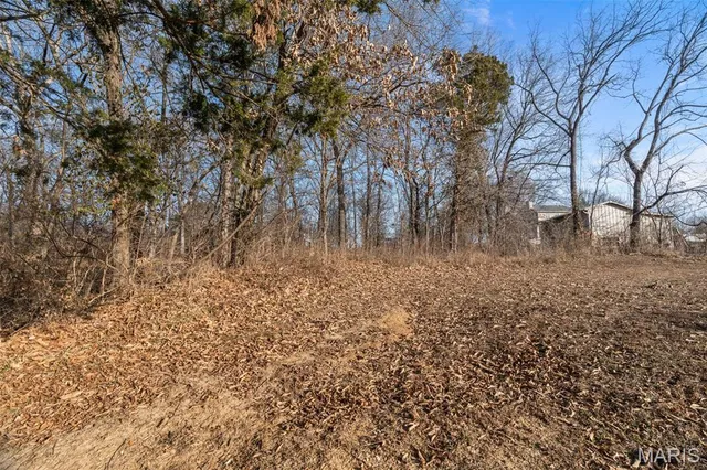 $450,000 | 1561 Timber Wolf Drive, Festus, MO 63028